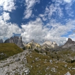 什么是“走单”？