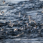 信息流广告ROI多少正常