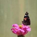 B2B2C平台有哪些？