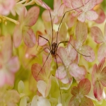 指数资本:投资领域的复利奇迹