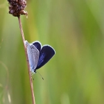跨境收款平台对电商网站的作用
