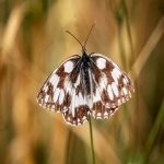 国际物流怎么找客户