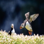 原色咨询-综合性咨询机构