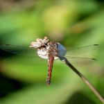 韩国电商平台有哪些