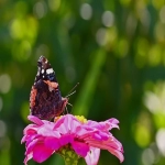 怎么在TikTok上提升销售业务