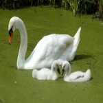 外贸建站推广：如何让你的电商更上一层楼