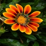 Bing广告投放的易管理性及优化策略