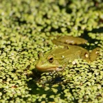 facebook开户资料有哪些？