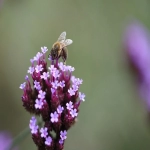 亚马逊退货运费谁承担