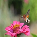 电商交流平台有哪些