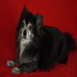 b2b注册注意事项