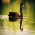 226是哪个国家的区号?