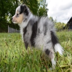 亚马逊5461报错的解决教程