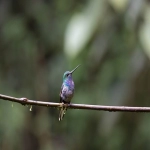 亚马逊索评邮件怎么写？