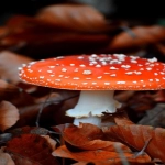 美国港口有哪些