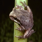 亚马逊FBA收费标准：如何优化卖家利润