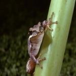 Coralglobal：探索卓越品质的全球品牌