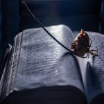 如何建立Facebook业务页面