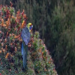 亚马逊上线FBM新功能