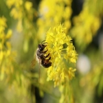 美国圣诞购物季消费人数创新高但支出增速放缓