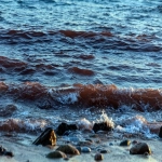 中国货船获伊朗特权穿越霍尔木兹海峡