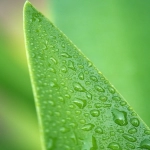 美国拟将AI芯片出口管制扩展至全球 英伟达、AMD等公司出口需获许可