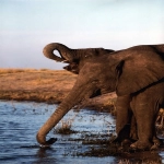 美国企业宣布裁员人数年初激增后出现回落