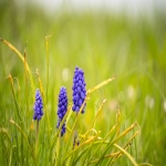 美CPSC紧急召回国产伸缩棍，涉两万五千件存伤人隐患