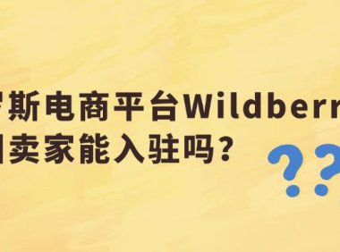不懂就问，俄罗斯电商平台Wildberries中国卖家能入驻吗？