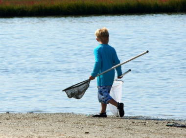 优化Shopee物流运营的关键要素及策略