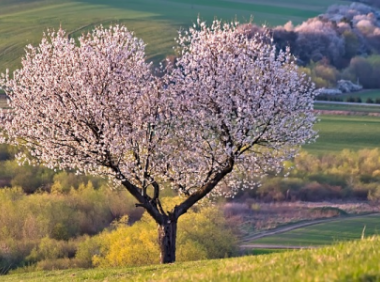 亚马逊站外推广