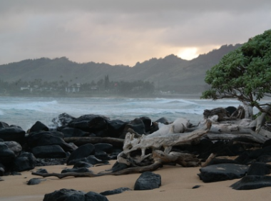 墨西哥亚马逊：跨境卖家的新宠