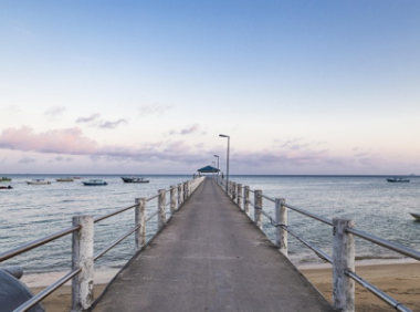 tiktok显示无网络连接该怎么办