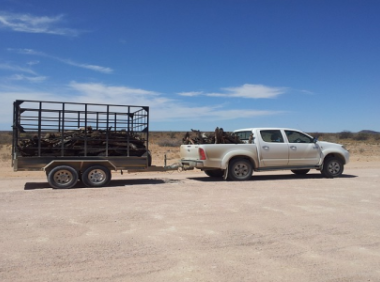 推特账号怎么解封