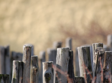 Tiktok企业开户流程