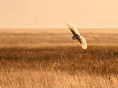 亚马逊利润怎么算