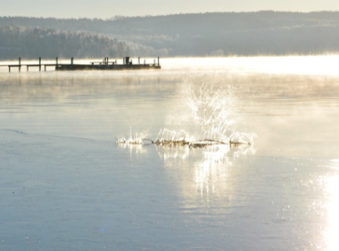 TikTok跨境电商怎么赚钱-Tiktok商店运营详解