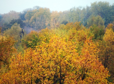 Tiktok店铺开户费