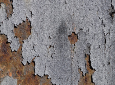 亚马逊开店注册步骤