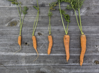 全球速卖通开店需要多少钱,都有哪些费用?