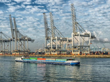 亚马逊变体是什么意思?