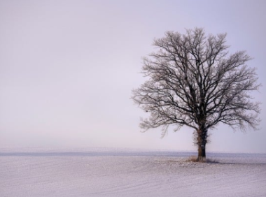 Facebook注册登录