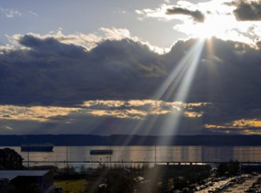 shopee入驻要求和流程