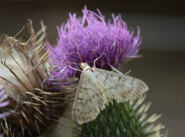 ebay注册开店流程