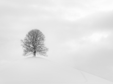 Facebook轮播广告是什么？