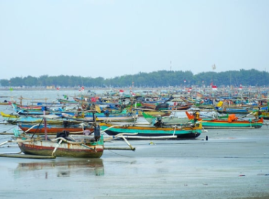 Shopee店群模式怎么做