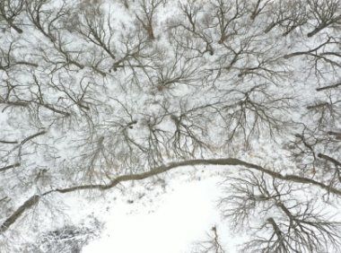 tiktok注册登录教程