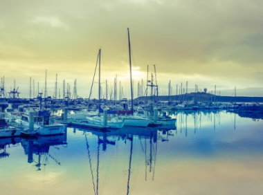 亚马逊业务报告：电商发展的风向标