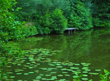 ebay外贸大学是什么？主要分享哪些内容？