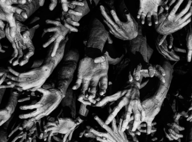 如何进行亚马逊品牌授权流程?